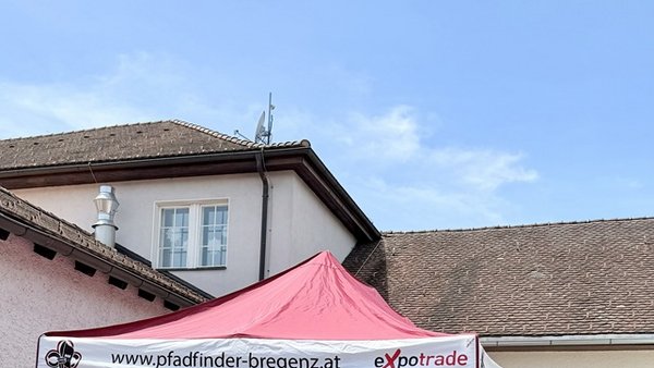 image-533